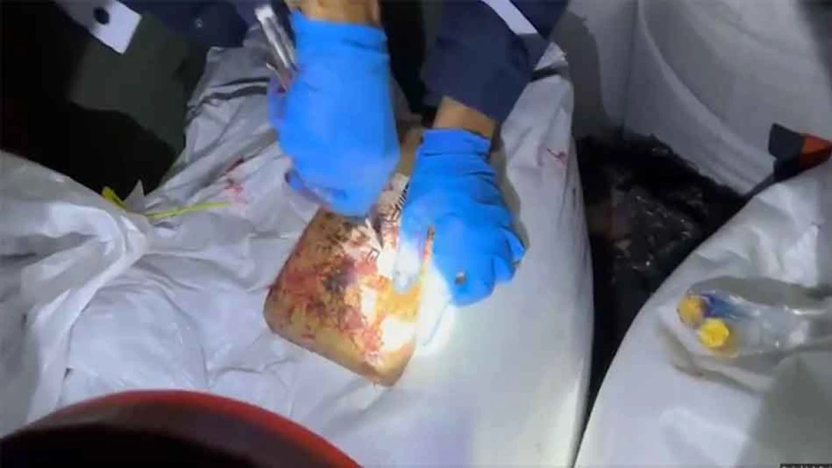 298 KİLO KOKAİN ELE GE&Ccedil;İRİLDİ