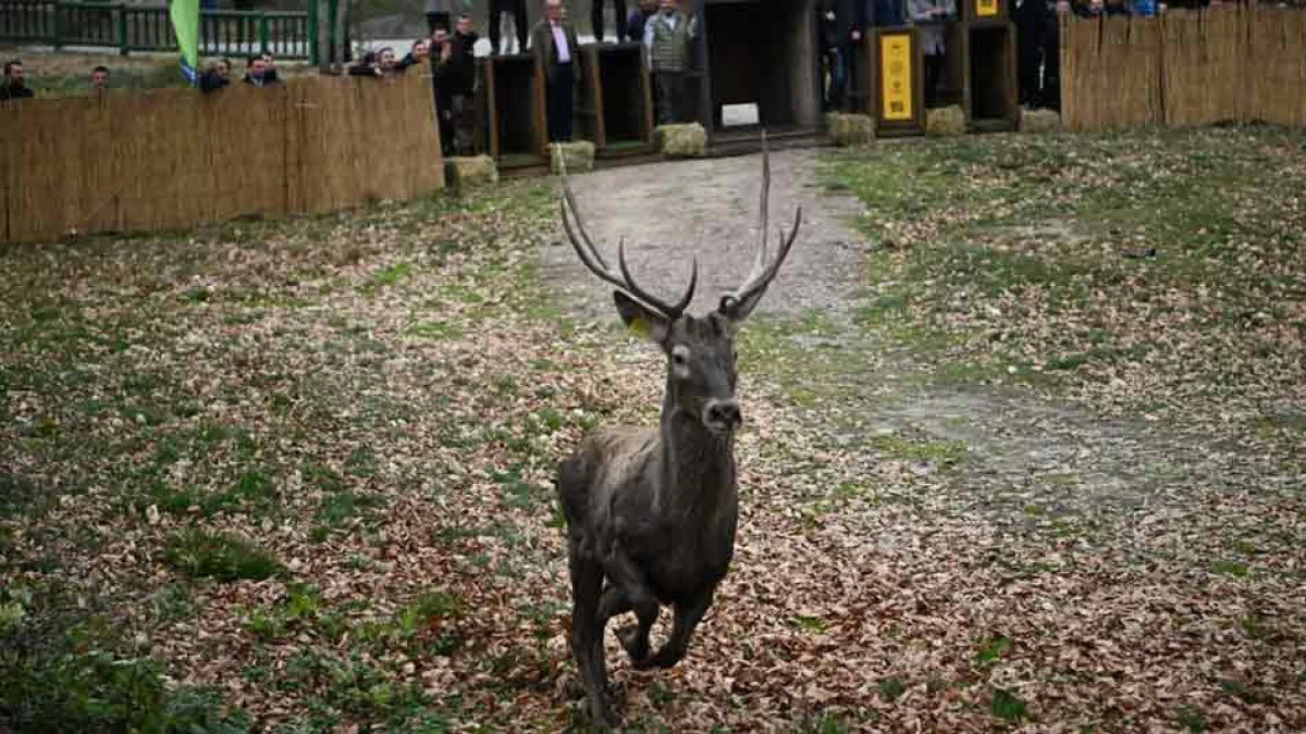 KOCAELİ'DE GÜZEL BİR ŞEYLER DE OLUYOR