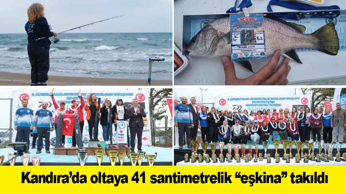 9. Uluslararası Balık Yakalama Yarışması nefesleri kesti;  Kandıra&rsquo;da oltaya 41 santimetrelik ''eşkina'' takıldı