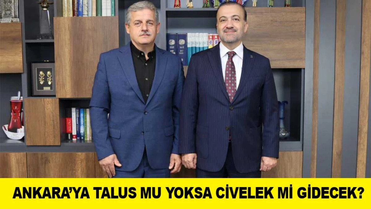 ANKARA&rsquo;YA TALUS MU YOKSA CİVELEK Mİ GİDECEK?