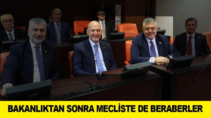 BAKANLIKTAN SONRA MECLİSTE DE BERABERLER