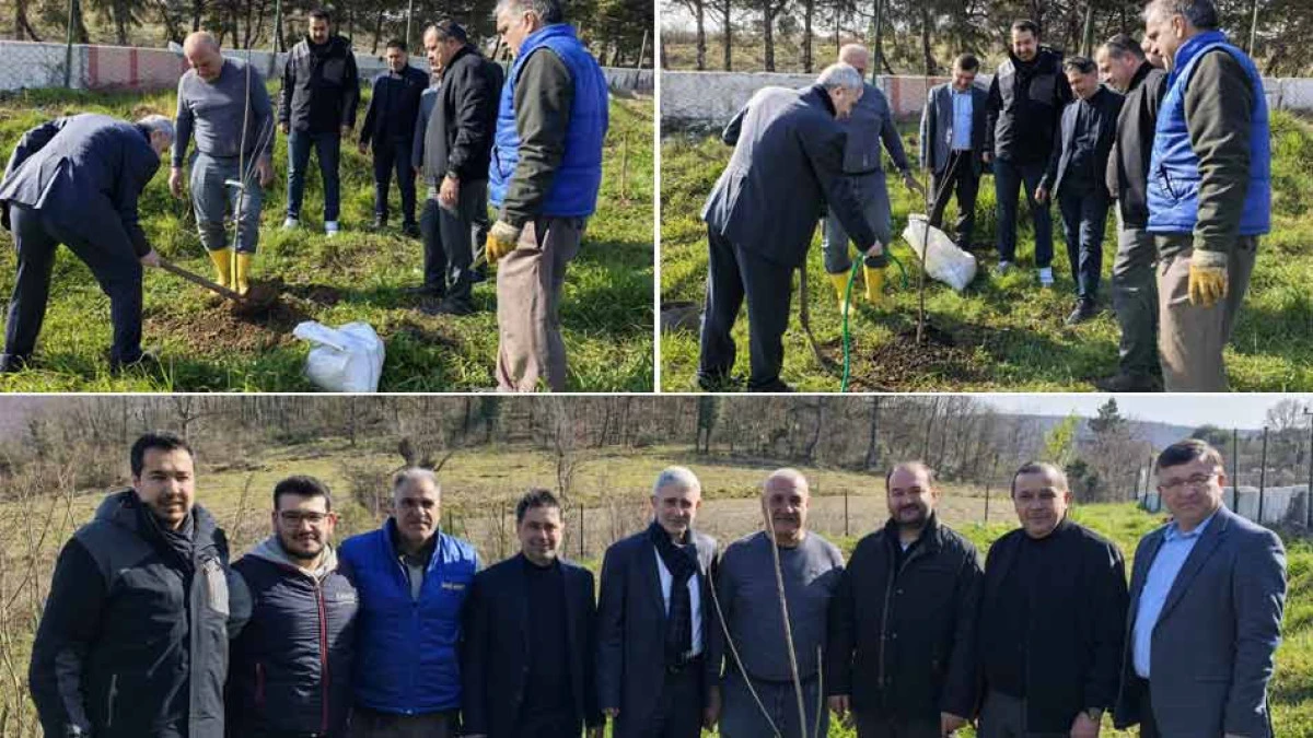 BAŞKAN BAŞKANIN BAH&Ccedil;ESİNE AĞA&Ccedil; DİKTİ