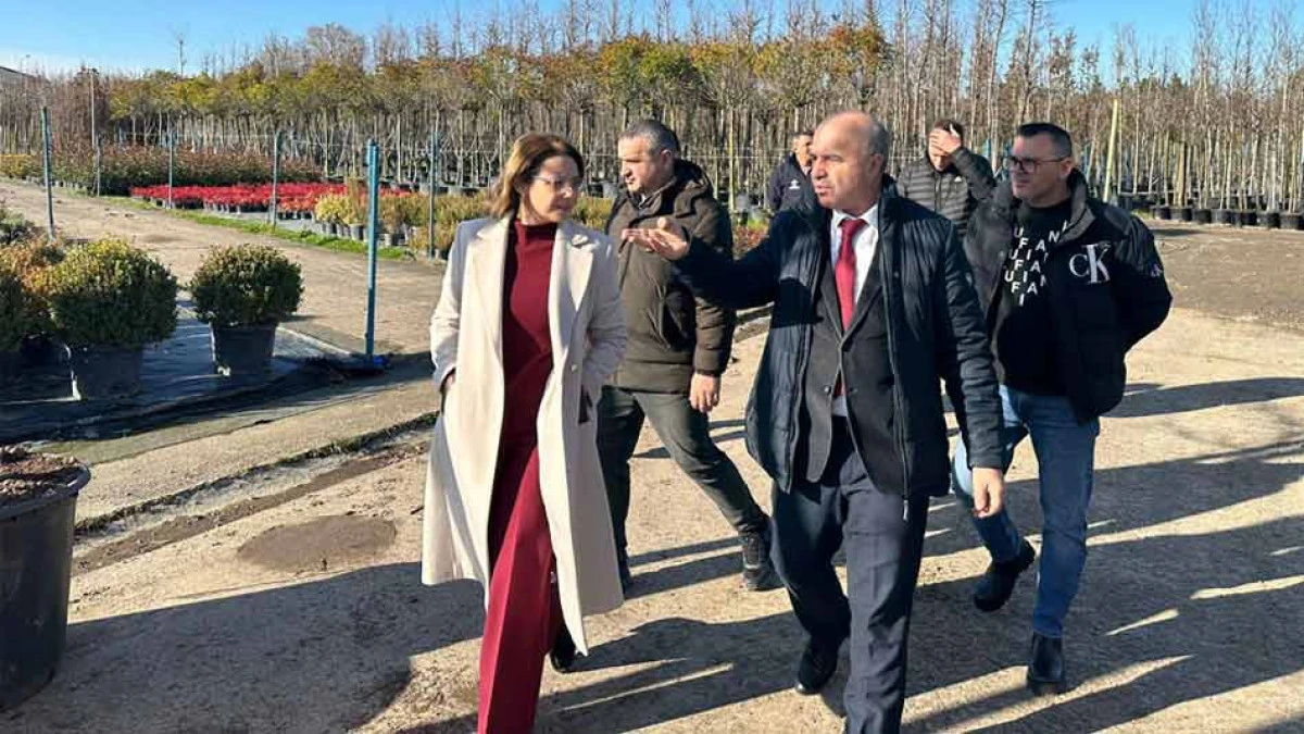 BERNA ABİŞ ARAZİDE