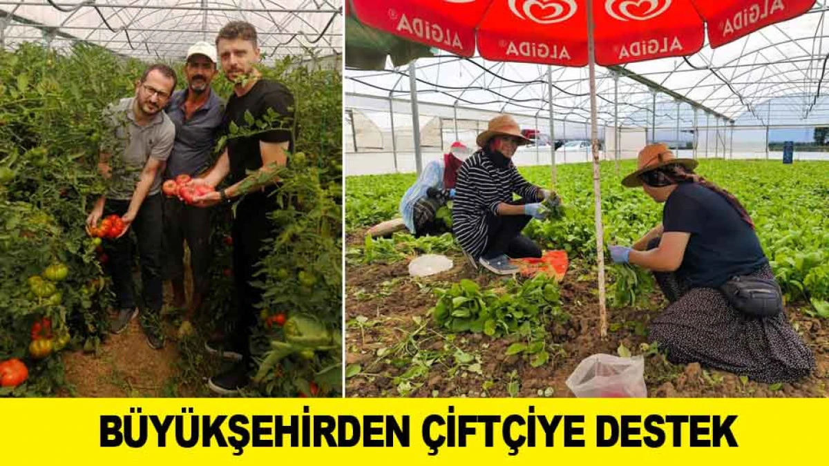 B&Uuml;Y&Uuml;KŞEHİRDEN &Ccedil;İFT&Ccedil;İYE DESTEK