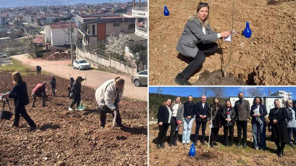 CHP'LİLER FİDAN DİKTİ