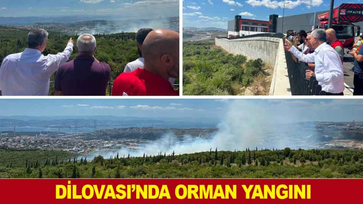 DİLOVASI&rsquo;NDA ORMAN YANGINI