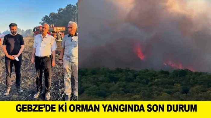 GEBZE&rsquo;DE Kİ ORMAN YANGINDA SON DURUM​
