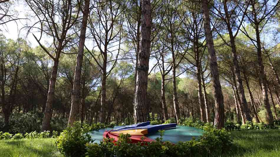 İşte GTÜ'nün Sürdürülebilirlikte Küresel Başarısı