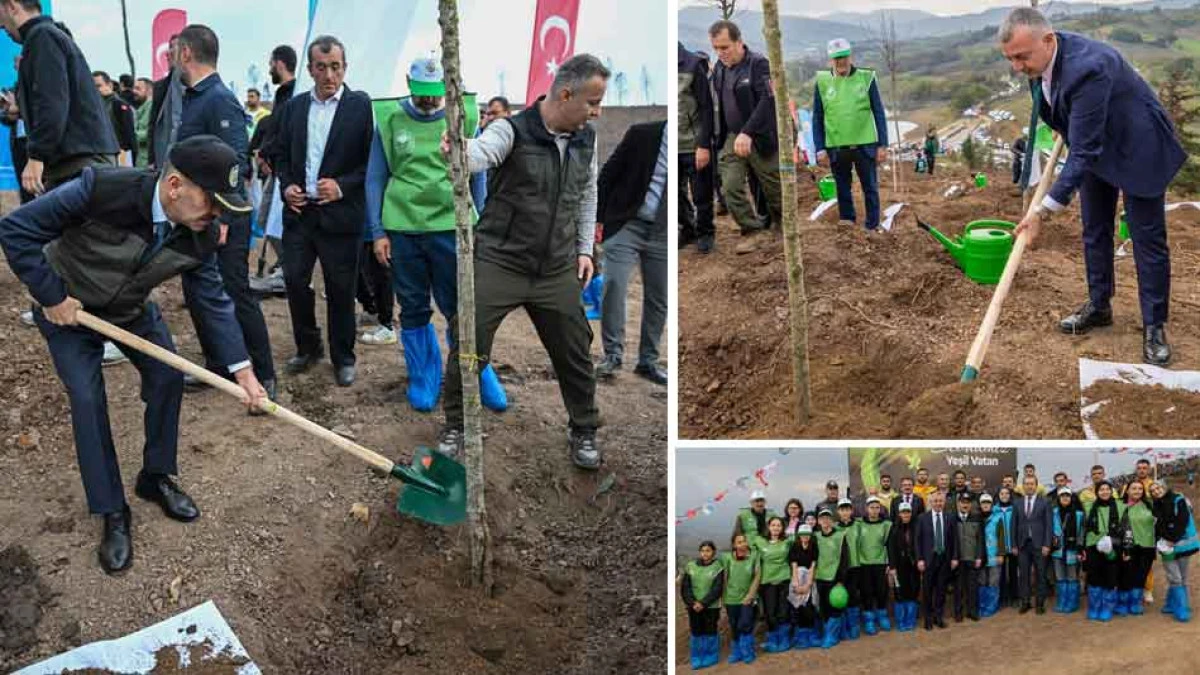 Kocaeli’de 65 Bin Fidan Toprakla Buluştu