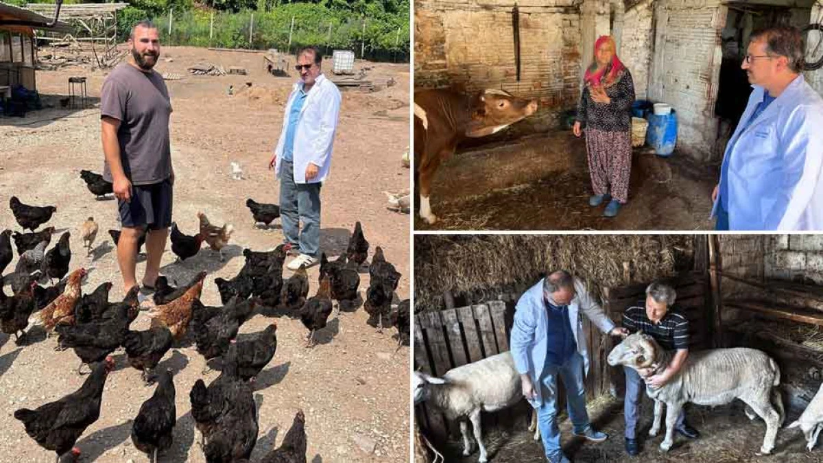 KOCAELİ'DE DAMIZLIK PROJELERDE SIKI DENETİM VE DESTEK
