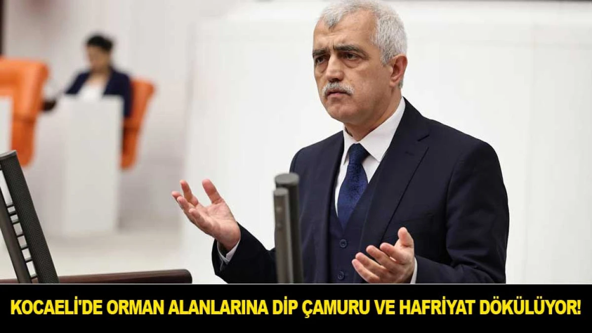 KOCAELİ'DE ORMAN ALANLARINA DİP &Ccedil;AMURU VE HAFRİYAT D&Ouml;K&Uuml;L&Uuml;YOR!