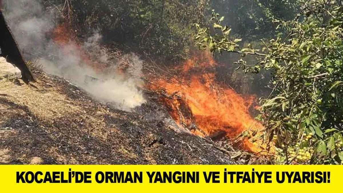 KOCAELİ&rsquo;DE ORMAN YANGINI VE İTFAİYE UYARISI!