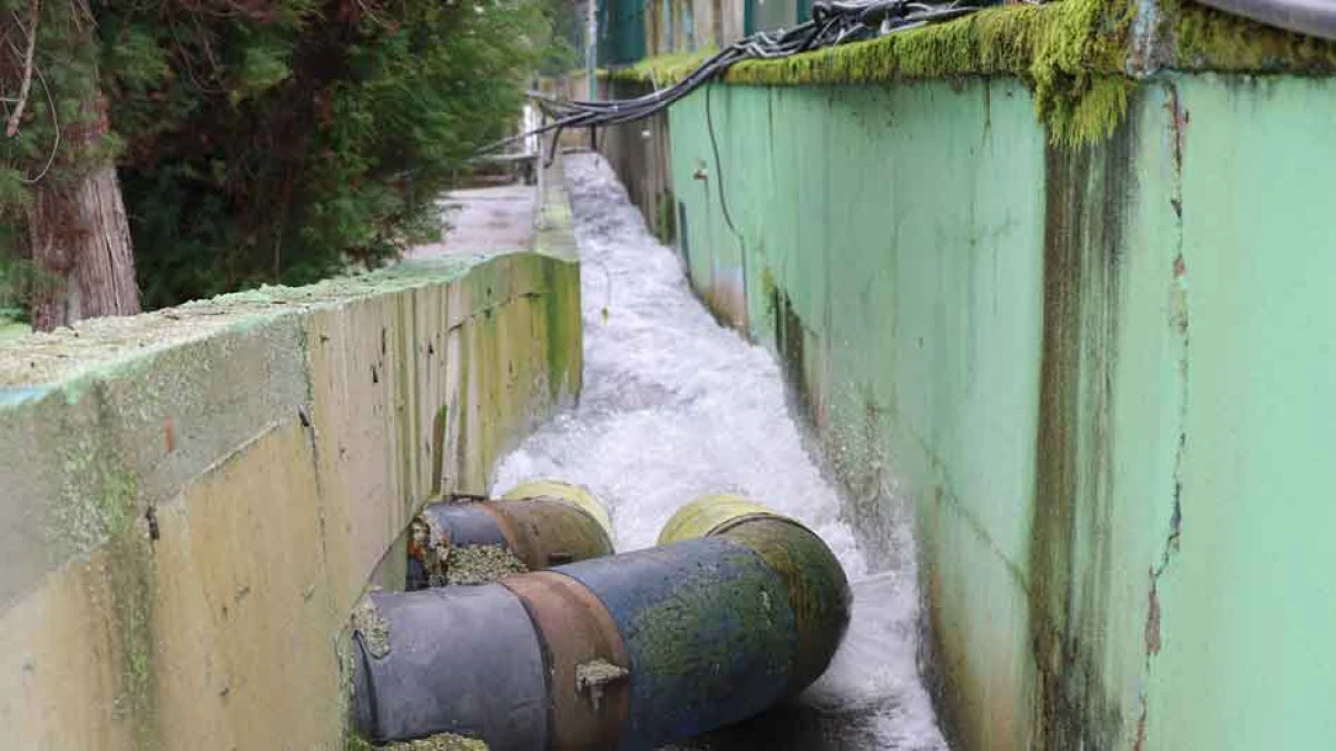 KOCAELİ'NİN FAZLA SUYU BAKIN NEREYE AKITILIYOR?