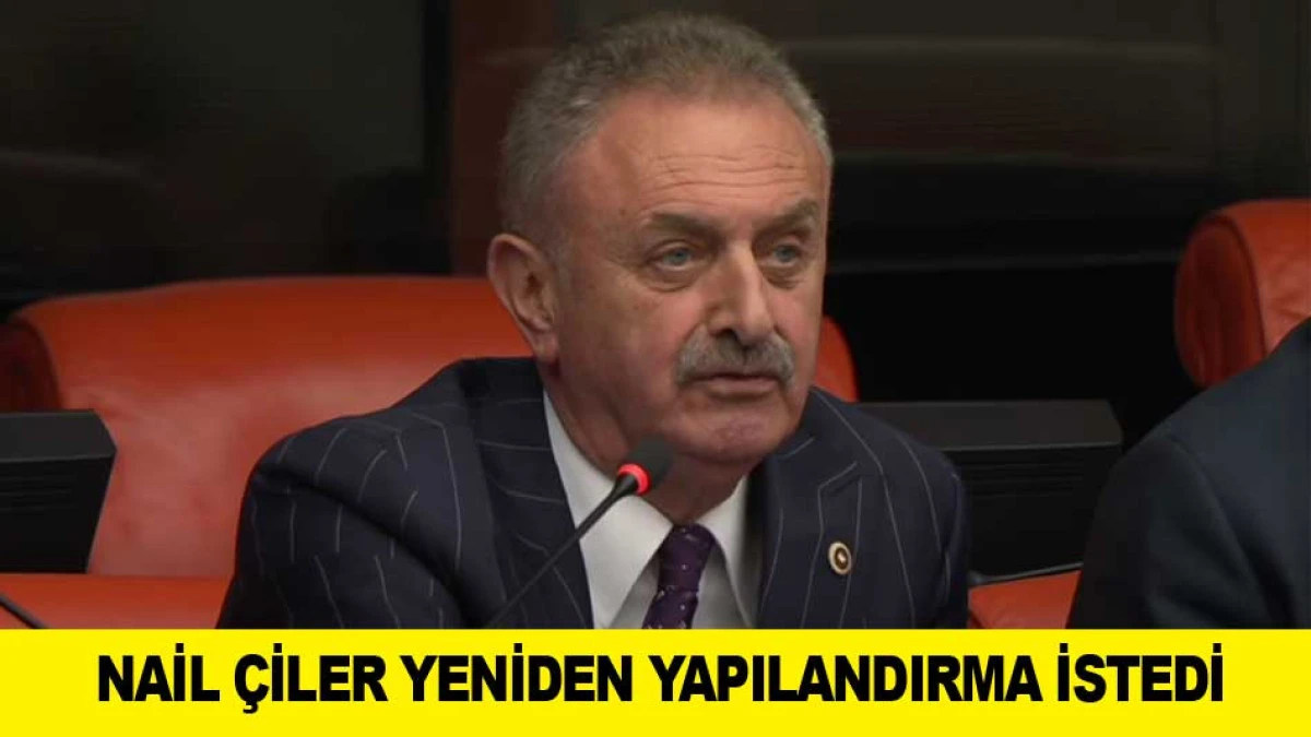 NAİL &Ccedil;İLER YENİDEN YAPILANDIRMA İSTEDİ
