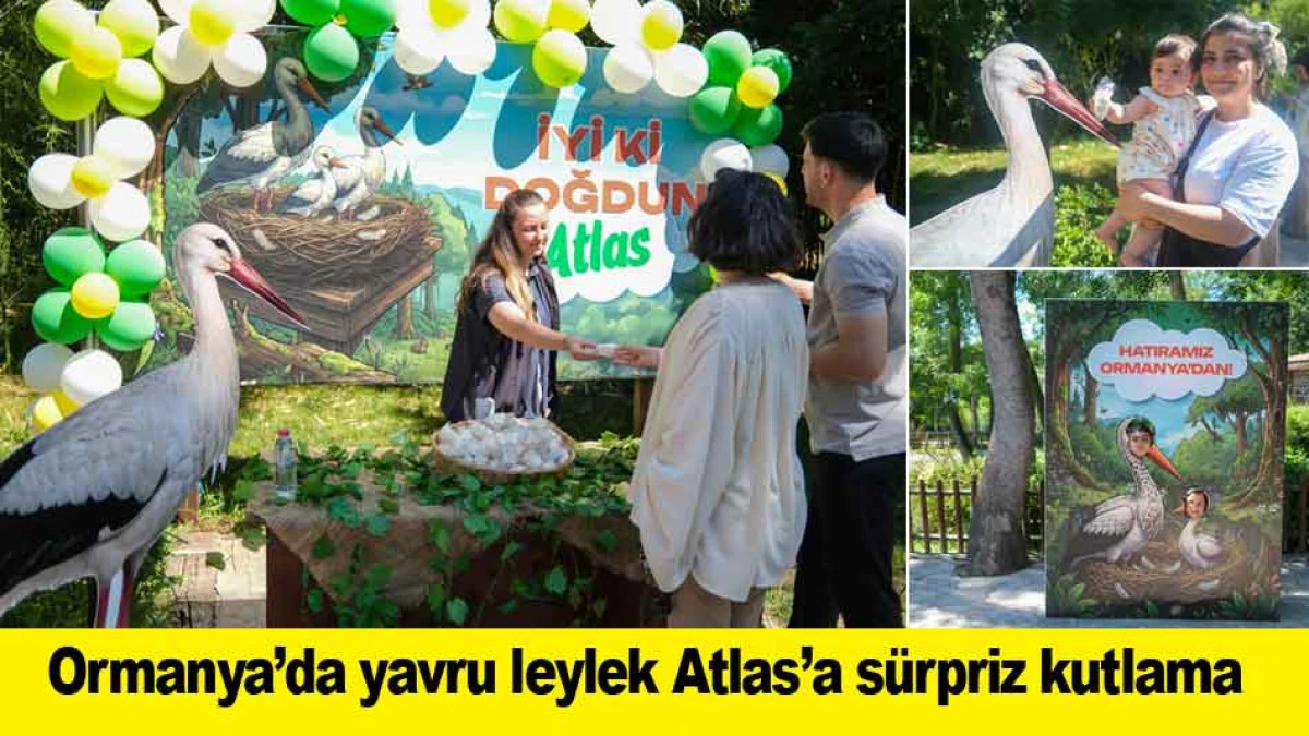 Ormanya&rsquo;da yavru leylek Atlas&rsquo;a s&uuml;rpriz kutlama