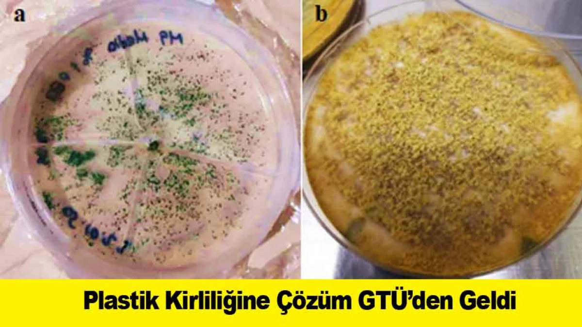Plastik Kirliliğine &Ccedil;&ouml;z&uuml;m GT&Uuml;&rsquo;den Geldi