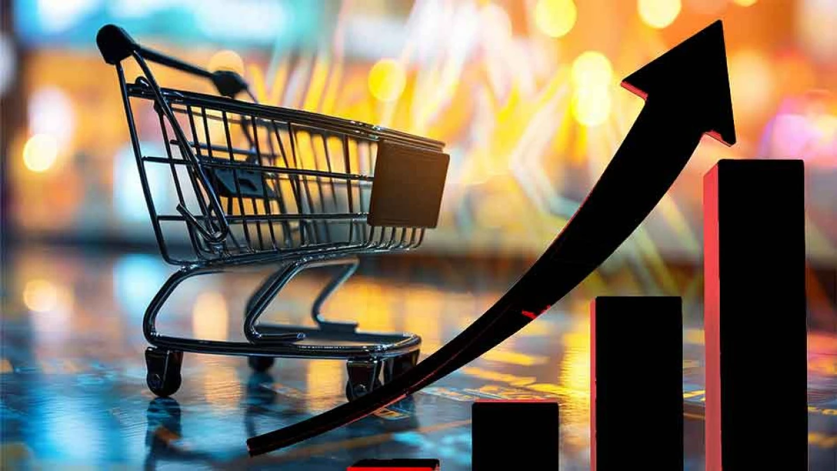 T&Uuml;RKİYE EKONOMİSİ B&Uuml;Y&Uuml;M&Uuml;Ş