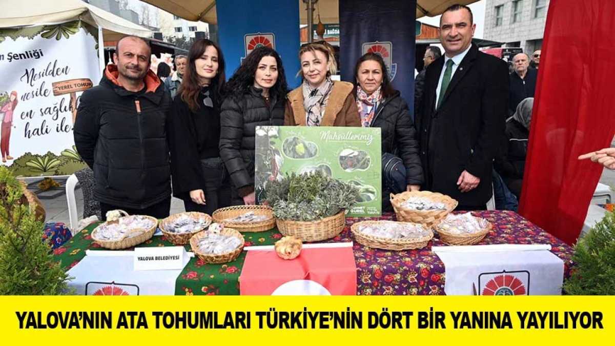 YALOVA&rsquo;NIN ATA TOHUMLARI T&Uuml;RKİYE&rsquo;NİN D&Ouml;RT BİR YANINA YAYILIYOR