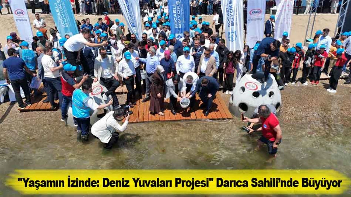 ''Yaşamın İzinde: Deniz Yuvaları Projesi'' Darıca Sahili&rsquo;nde B&uuml;y&uuml;yor